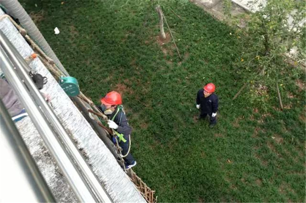 1513316261785646.jpg 2_副本.jpg